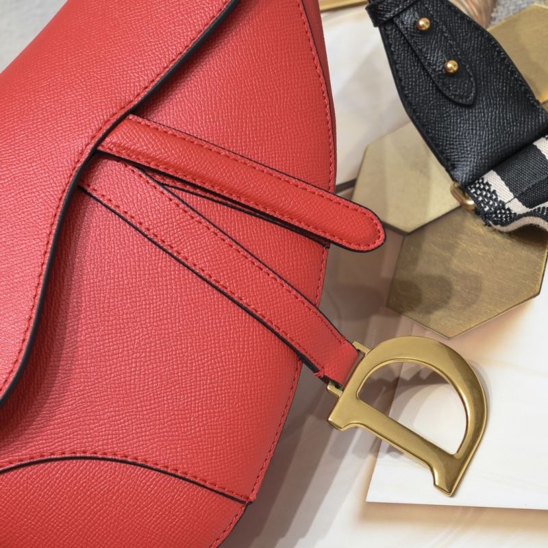 Dior Saddle Bags